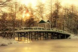 В Пуще-Водице сегодня ничего не напоминает о жестоких боях&hellip;